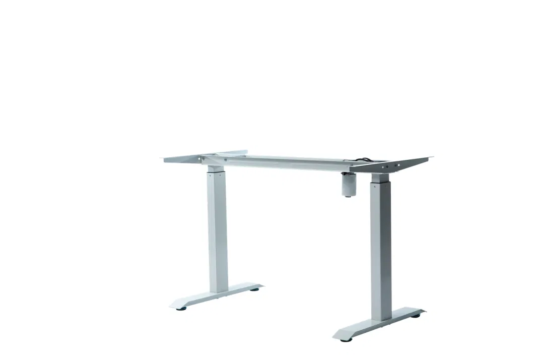 China Factory Ergonomic Electric Height Adjustable Office Desk/ Standing Desk Sample Customization